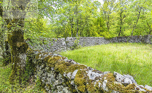 Frankreich  Lot  Regionaler Naturpark Causses von Quercy  Sensibler Naturraum von Brauhnie  kleine Steinmauer in einem Schafspark