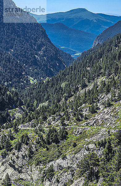 Spanien  Katalonien  Pyrenäen  Comarque de Ripolles  Wanderweg in den Bergen