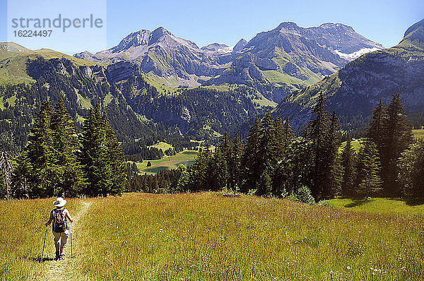 Schweiz  Kanton Bern  Region Hochsimmental  Weiden an der Wispile  Wanderung ins Lauenental und zum See  MODEL RELEASE OK  ref : SNL05