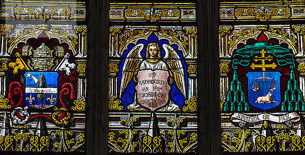 Frankreich  Zentral-Val de Loire  Indre-et-Loire  Chinon  Kirche St Maurice  Glasmalerei von Lucien-Leopold Lobin (19. Jahrhundert)