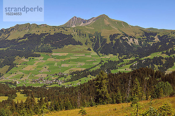 Schweiz  Kanton Bern  Region Hochsimmental  Weiden an der Wispile  Wanderungen ins Lauenental und zum See