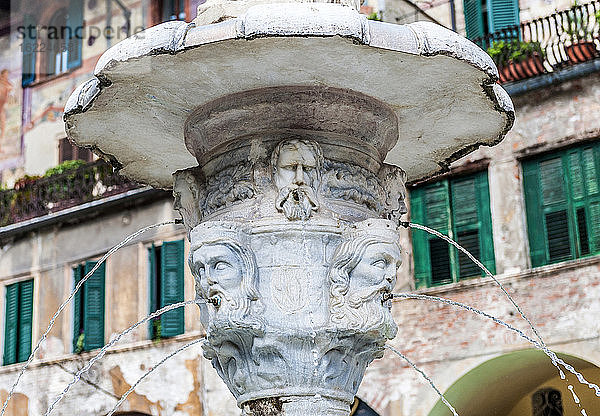 Italien  Venetien  Verona  Brunnen (16. Jahrhundert) auf der Piazza delle Erbe