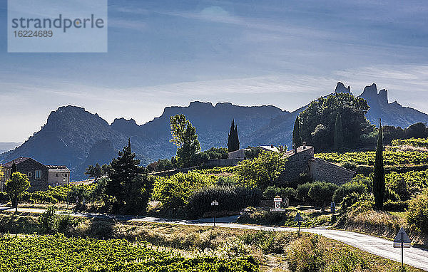 Frankreich  Provence  Vaucluse  Dentelles de Montmirail  Suzette