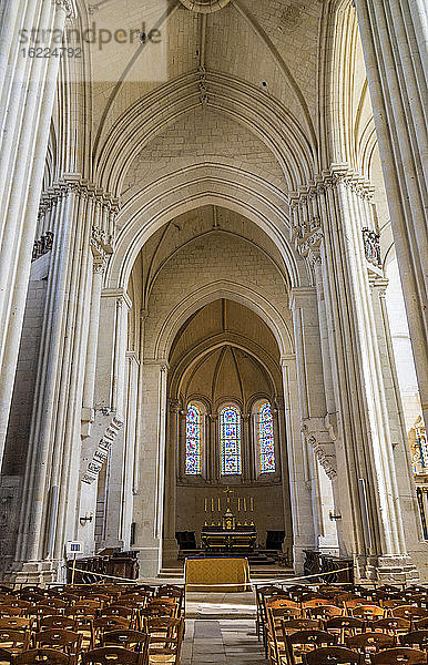 Frankreich  Loiretal  Pays de la Loire  Maine-et-Loire  Candes-Saint-Martin  Kirchenschiff der Kirche St-Martin (UNESCO-Welterbe) (schönstes Dorf Frankreichs)