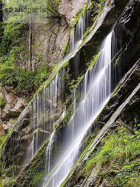 Wasserfall an bemooster Felswand  Wimbachklamm  Wimbachtal  Nationalpark Berchtesgaden  Ramsau  Berchtesgadener Land  Oberbayern  Bayern  Deutschland  Europa
