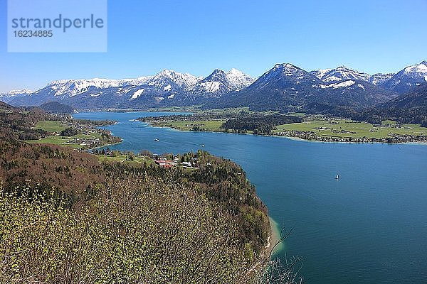 Aussicht vom Falkenstein auf Wolfgangsee  Sazkammergutberge und Totes Gebirge  Salzkammergut  Salzburg  Österreich  Europa