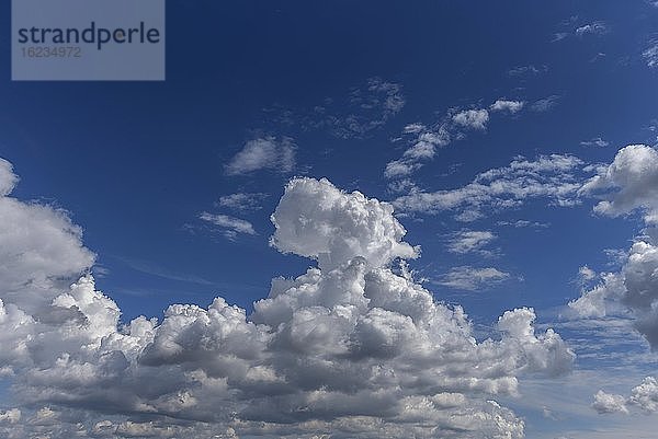Haufenwolken (Cumulus)  Bayern  Deutschland  Europa