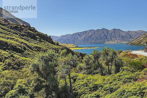 Lake Hawae  Otago  Südinsel  Neuseeland  Ozeanien