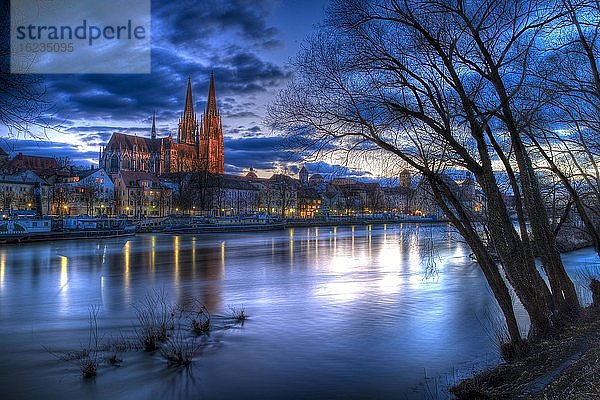 Stadtansicht mit Dom St Peter und Donau zur blauen Stunde  Regensburg  Bayern  Deutschland  Europa