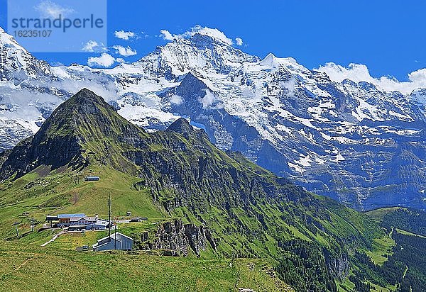 Bergplateau auf dem Männlichen mit Jungfrau-Massiv  Wengen  Jungfrau-Region  Berner Oberland  Kanton Bern  UNESCO-Weltnaturerbe  Schweiz  Europa