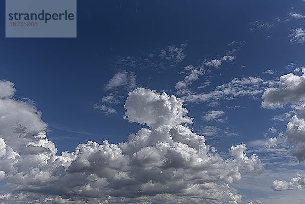 Haufenwolken (Cumulus)  Bayern  Deutschland  Europa