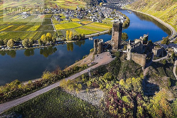 Luftaufnahme  Poltersdorf mit Weinbergen und der Burg Metternich  Zell  Mosel  Rheinland-Pfalz  Deutschland  Europa