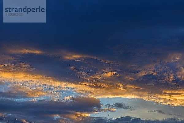 Regenwolken (Nimbostratus) am Abendhimmel  Bayer  Deutschland  Europa