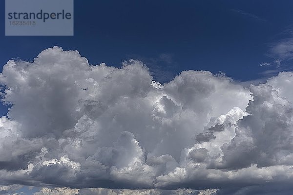 Haufenwolken (Cumulus)  Bayern  Deutschland  Europa