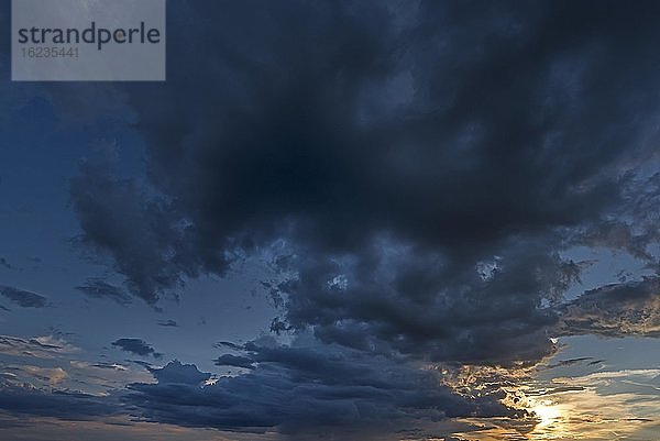 Regenwolken (Nimbostratus) am Abendhimmel  Bayern  Deutschland  Europa