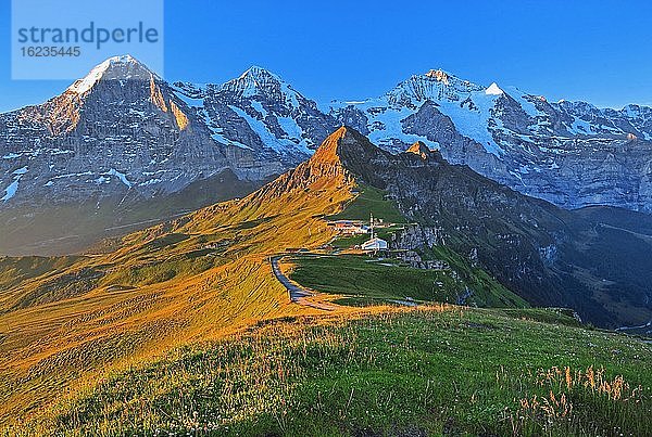 Bergwiese auf dem Männlichen mit Dreigestirn Eiger  Mönch und Jungfrau-Massiv bei Sonnenaufgang  Wengen  Jungfrau-Region  Berner Oberland  Kanton Bern  UNESCO-Weltnaturerbe  Schweiz  Europa