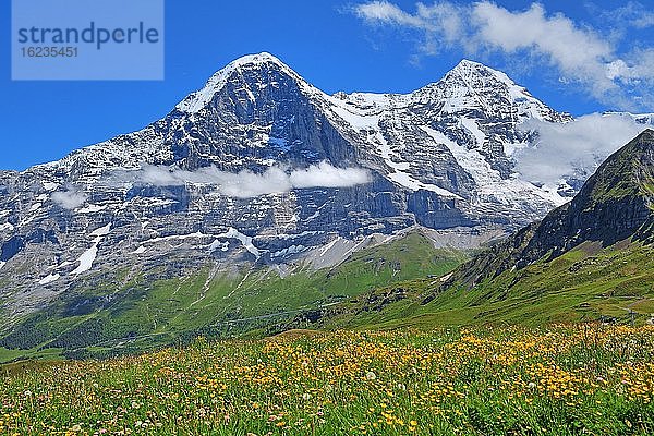 Bergwiese auf dem Männlichen mit Eiger und Mönch  Wengen  Jungfrau-Region  Berner Oberland  Kanton Bern  UNESCO-Weltnaturerbe  Schweiz  Europa