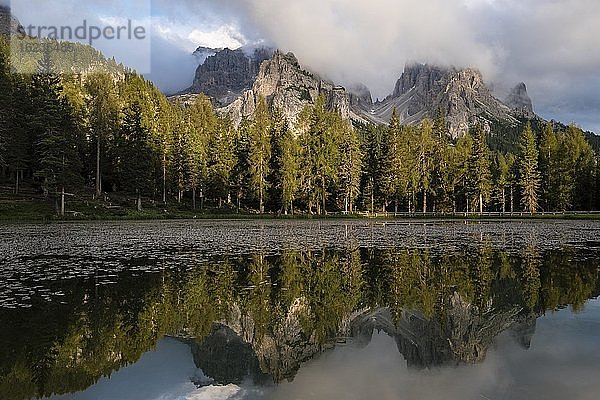 Lago d'Antorno  Naturpark Drei Zinnen  Spiegelung der Cadinigruppe  Dolomiten  Südtirol  Italien  Europa