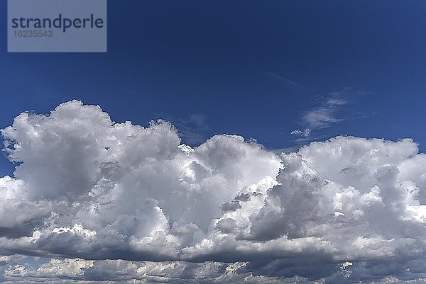 Haufenwolken (Cumulus)  Bayern  Deutschland  Europa