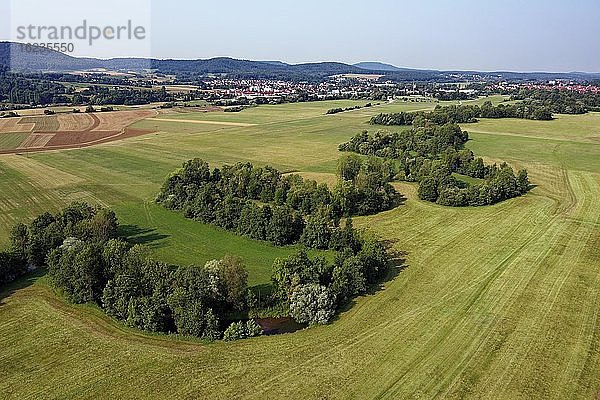 Pegnitzaue in Kulturlandschaft  hinten Markt Hersbruck  Hersbrucker Schweiz  Landkreis Nürnberger Land  Mittelfranken  Franken  Deutschland  Europa