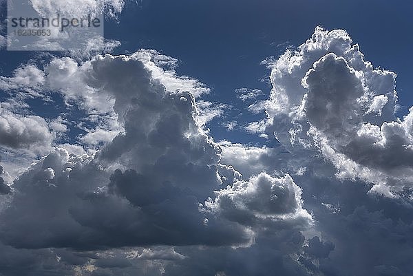 Haufenwolken (Cumulus)  Bayern  Deutschland  Europa