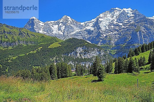Bergwiese mit Dreigestirn Eiger  Mönch und Jungfrau-Massiv  Mürren  Jungfrau-Region  Berner Oberland  Kanton Bern  UNESCO-Weltnaturerbe  Schweiz  Europa