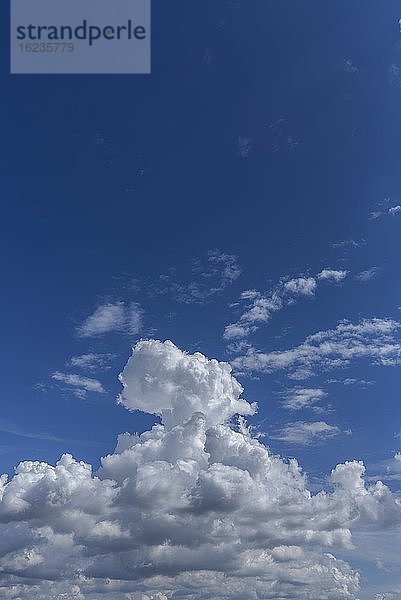 Haufenwolken (Cumulus)  Bayern  Deutschland  Europa