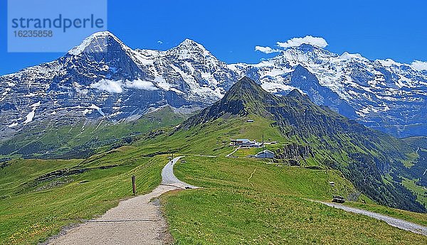 Bergwiese und Wanderweg auf dem Männlichen mit Dreigestirn Eiger  Mönch und Jungfrau-Massiv  Wengen  Jungfrau-Region  Berner Oberland  Kanton Bern  UNESCO-Weltnaturerbe  Schweiz  Europa