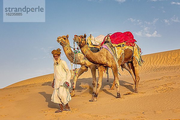 Alter Mann mit Kamelen  Wüste Thar  Rajasthan  Indien  Asien