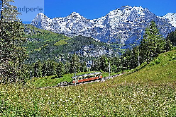 Bergwiese und Mürrenbahn mit Dreigestirn Eiger  Mönch und Jungfrau-Massiv  Mürren  Jungfrau-Region  Berner Oberland  Kanton Bern  UNESCO-Weltnaturerbe  Schweiz  Europa