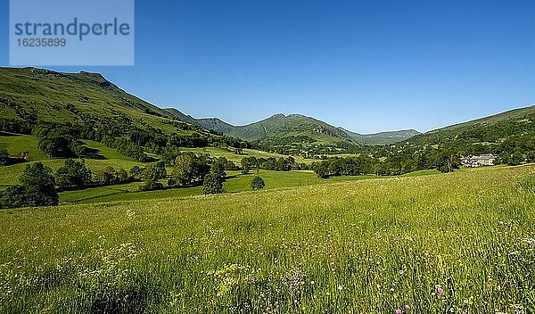 Das Tal der Dienne  das zum Puy Mary führt  Naturpark der Vulkane der Auvergne  Departement Cantal  Auvergne-Rhone-Alpes  Frankreich  Europa