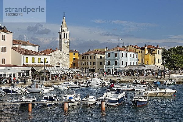 Boote im Hafen  Fazana  Istrien  Kroatien  Europa