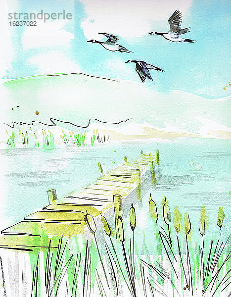Aquarell von Gänsen  die über einen ruhigen See fliegen