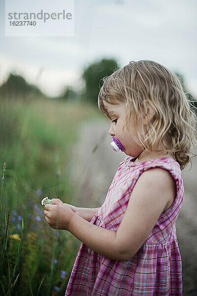 Mädchen pflückt Blumen