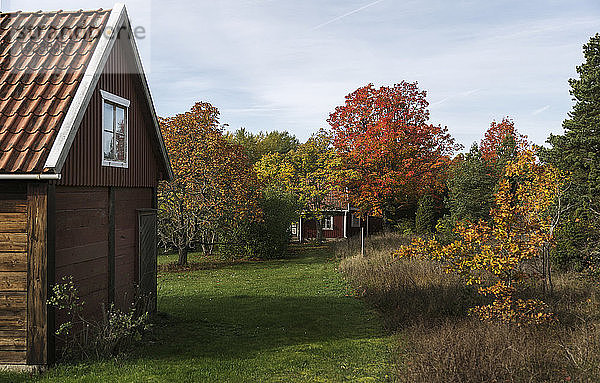 Holzhaus mit Herbstbäumen