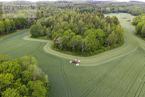 Traktor mäht Gras auf einer Wiese