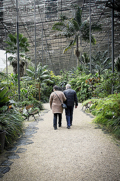 Paar geht im Gewächshaus des botanischen Gartens spazieren