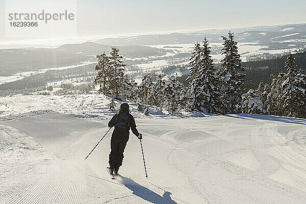 Rückansicht eines Skifahrers