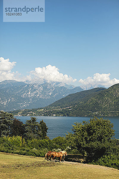 Blick auf die Küste