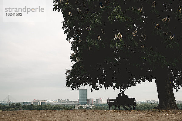 Paar auf Bank unter Kastanienbaum