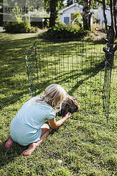 Mädchen fotografiert Kaninchen im Käfig