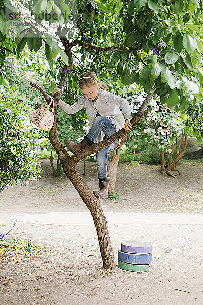 Mädchen klettert auf Baum