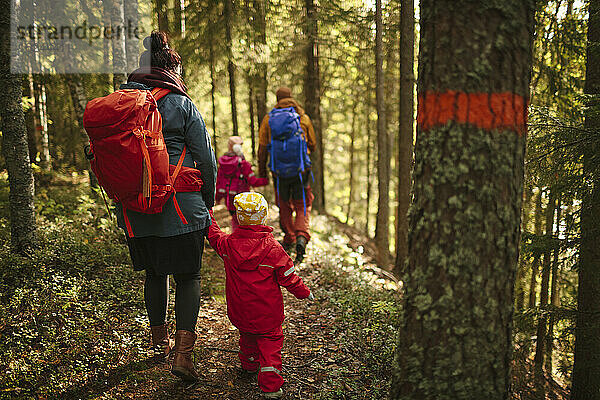 Familie wandert durch den Wald