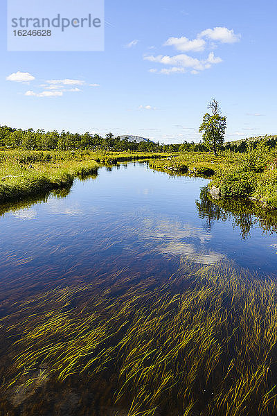 Landschaft mit See