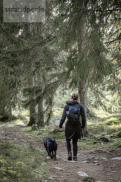 Rückansicht einer Frau  die mit ihrem Hund durch den Wald läuft