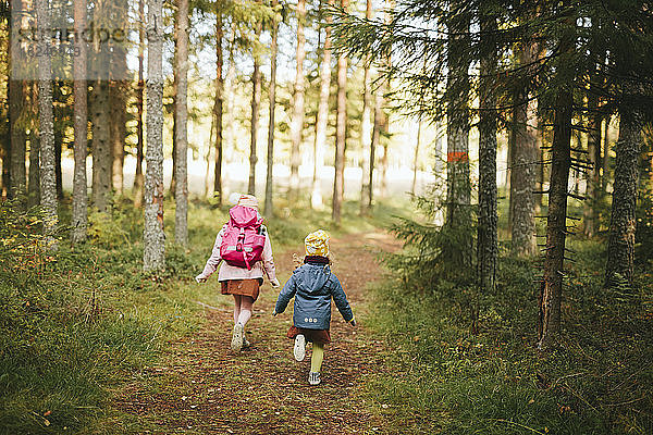 Mädchen gehen durch den Wald