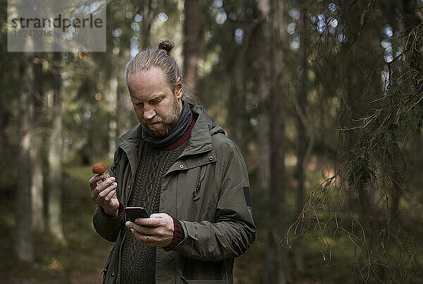 Mann mit Pilz und Mobiltelefon