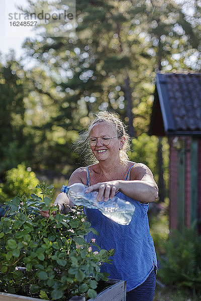 Lächelnde Frau  die Pflanzen im Garten gießt