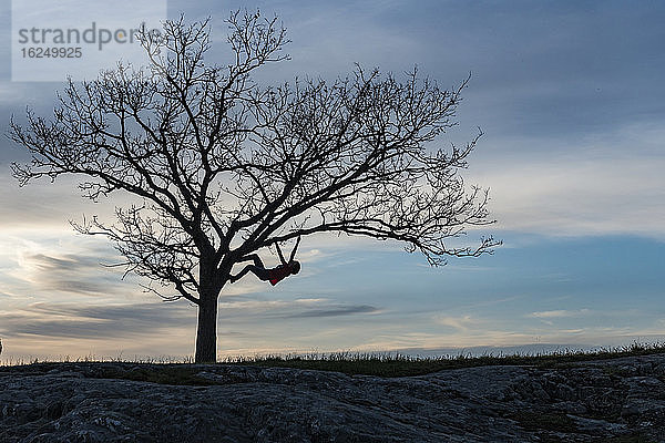 Silhouette Person klettert Baum