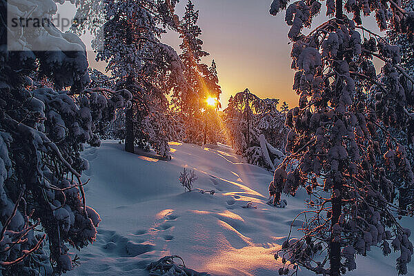 Blick auf eine Winterlandschaft bei Sonnenuntergang